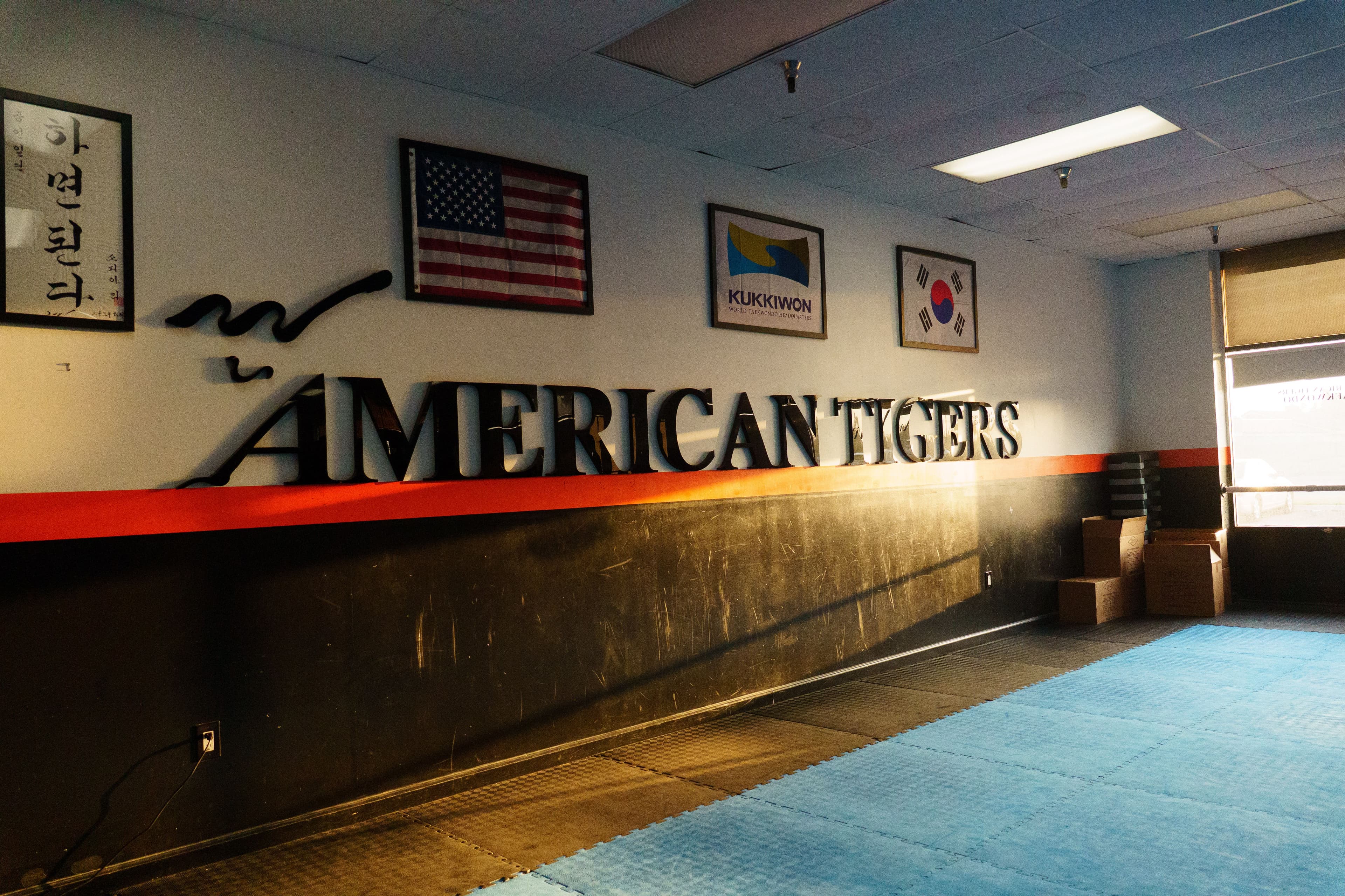 american tigers inc studio